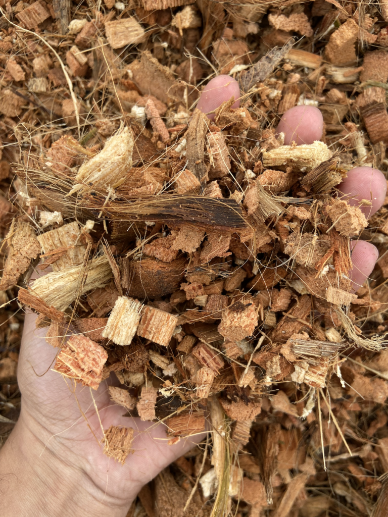Chip de Coco Premium